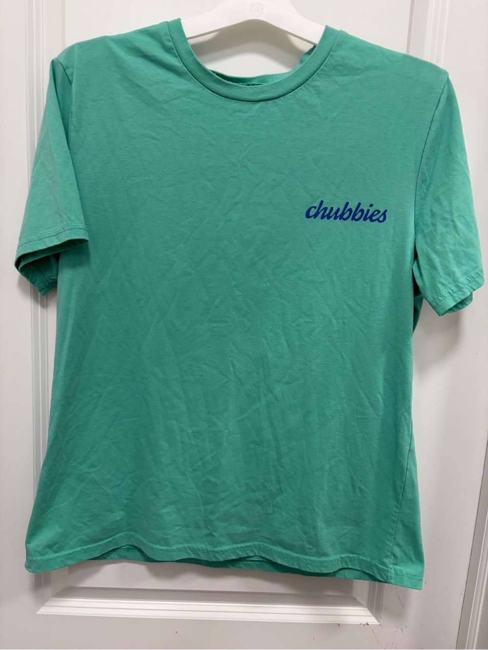 Chubbies Men's Short Sleeve Tee in Aqua Green with saying pinhole L